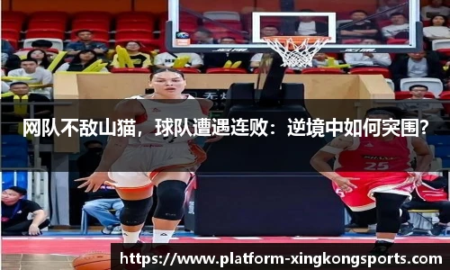 网队不敌山猫,球队遭遇连败:逆境中如何突围?